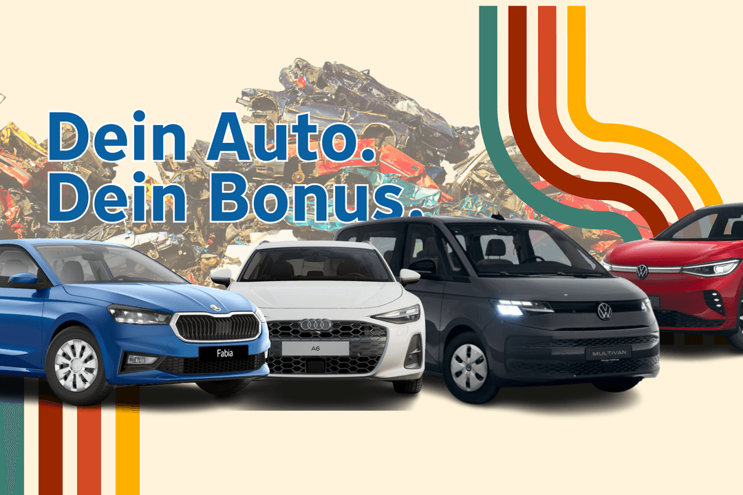 Inzahlungnahmeaktion